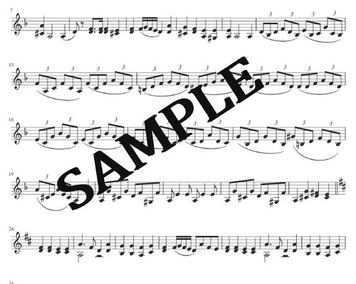 The_Two_Grenadiers_-_Suzuki_Book_2 伴奏sample
