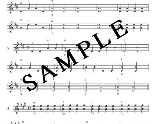 double stop1 sample