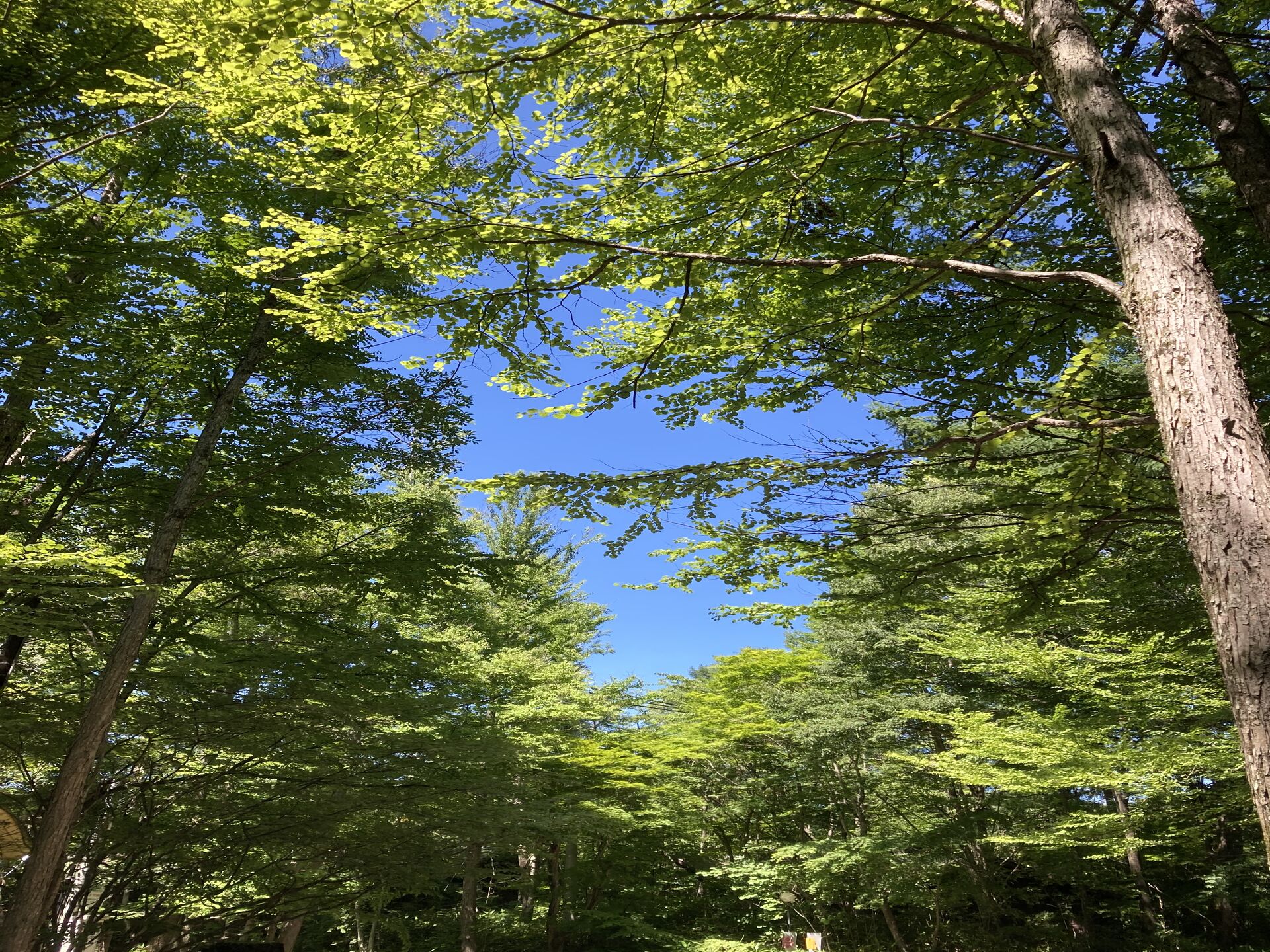 120C6B72-1883-465A-A79C-64545B593C26