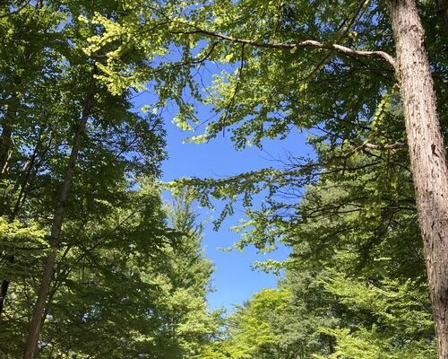 120C6B72-1883-465A-A79C-64545B593C26