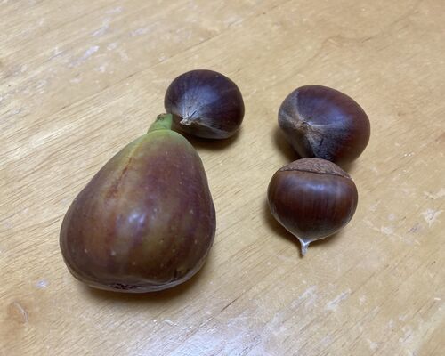 490743AC-0248-4FAA-A65B-A72351834260