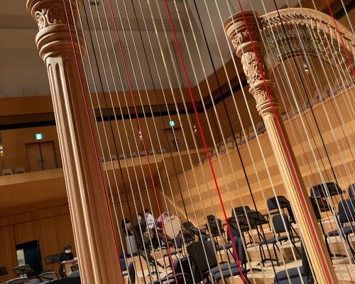 1D8CA81F-846A-46D1-A3D7-012F56A61CCE