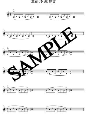 double stop 重音（予備）練習 sample