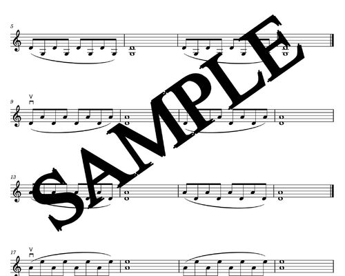 double stop 重音（予備）練習 sample