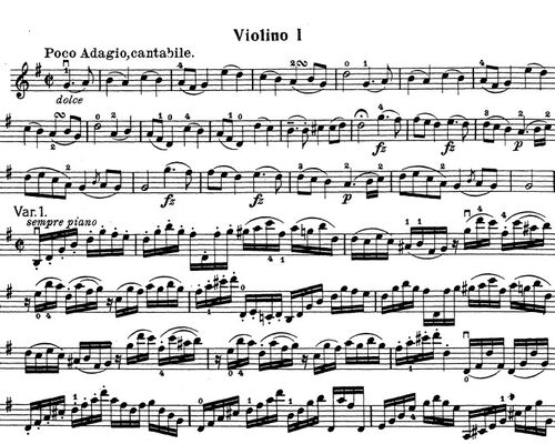 haydn01