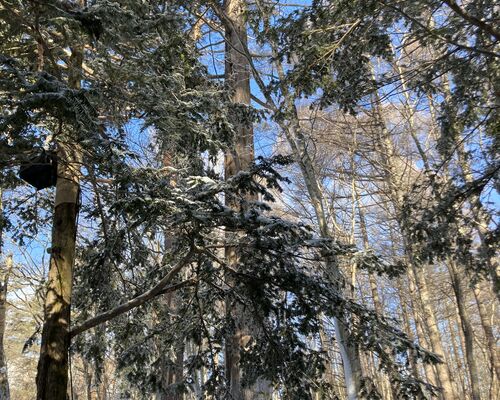 CB16F953-4CA6-4CAA-BBC5-2766AEFD97D3