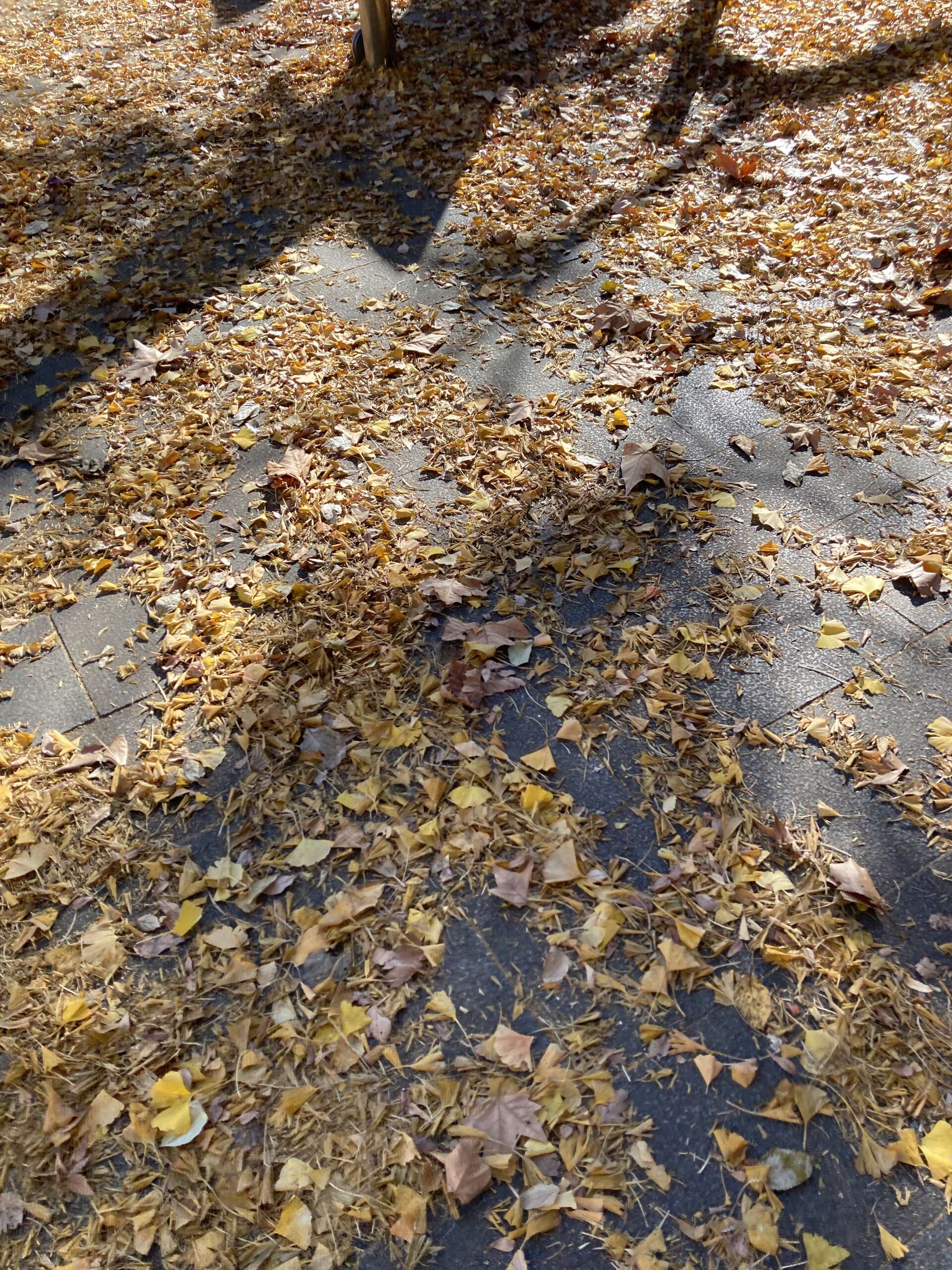 CBC9AF5A-4B03-45A6-A0FE-AB7ABABA645C