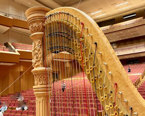 D8906316-D228-4913-B390-093FAF36C508