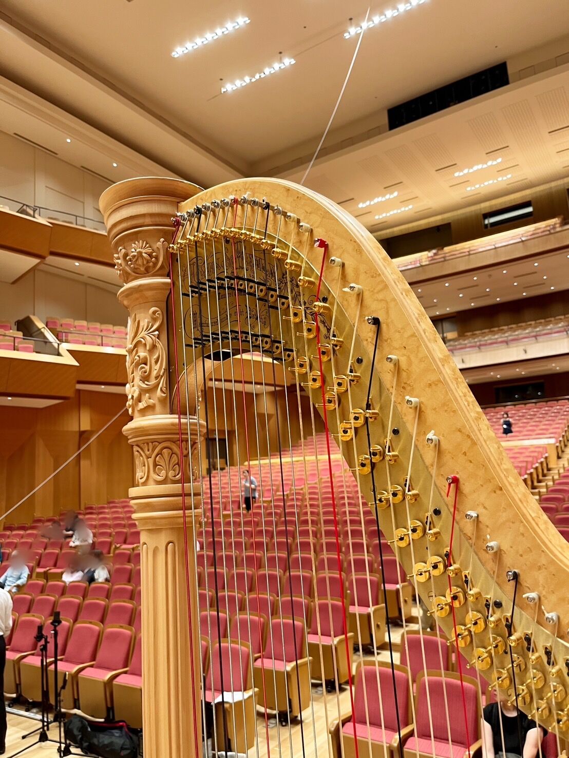 81D2AF21-181E-4C3B-B968-9945553FC30A