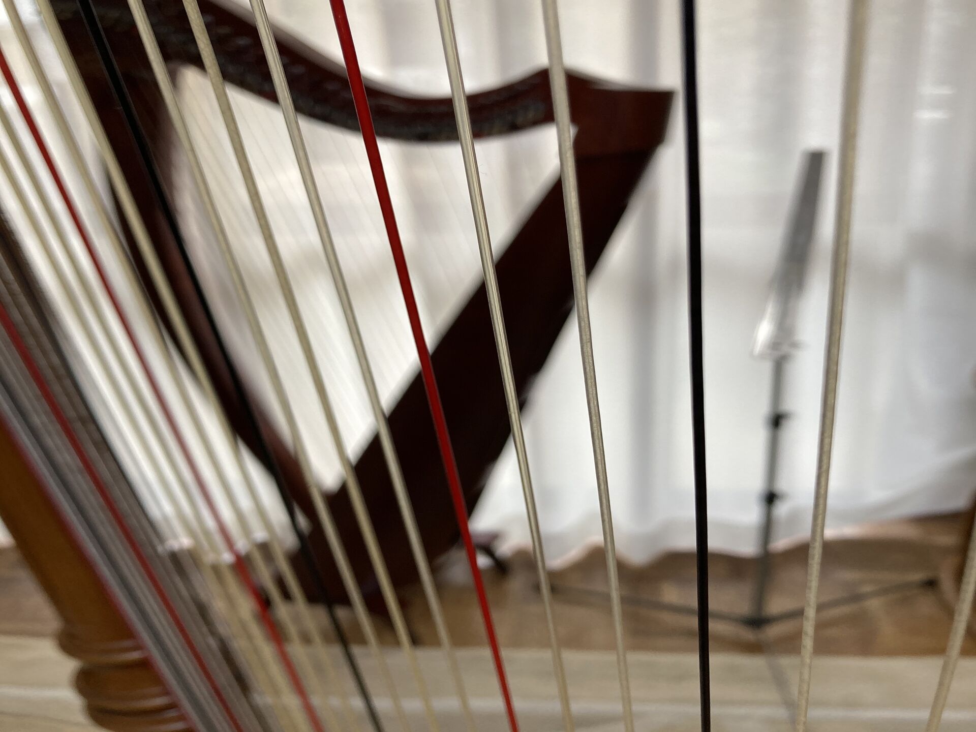 614EACE3-4E84-4B23-BFA3-BDBB11461940