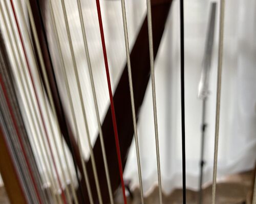 614EACE3-4E84-4B23-BFA3-BDBB11461940